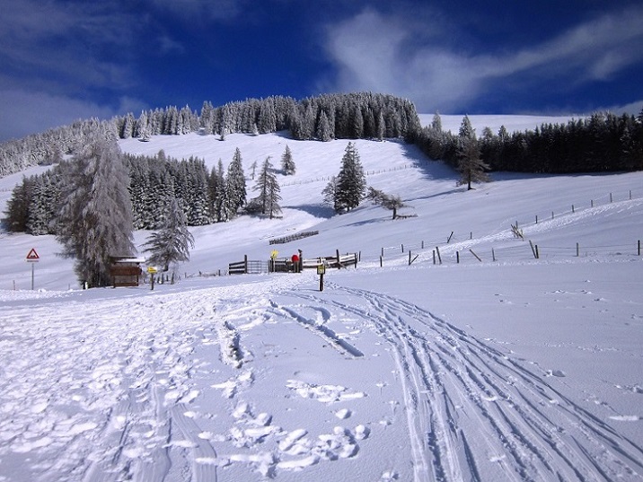 Foto: Andreas Koller / Schneeschuhtour / Almenland Schneeschuhtour auf der Teichalm (1473m) / 23.01.2021 22:38:33