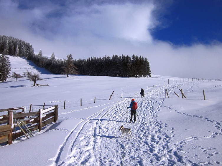Foto: Andreas Koller / Schneeschuhtour / Almenland Schneeschuhtour auf der Teichalm (1473m) / 23.01.2021 22:38:28