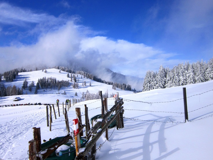 Foto: Andreas Koller / Schneeschuhtour / Almenland Schneeschuhtour auf der Teichalm (1473m) / 23.01.2021 22:38:04