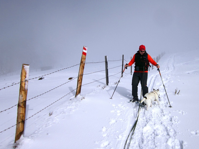 Foto: Andreas Koller / Schneeschuhtour / Almenland Schneeschuhtour auf der Teichalm (1473m) / 23.01.2021 22:37:54