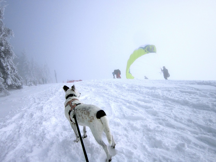 Foto: Andreas Koller / Schneeschuhtour / Almenland Schneeschuhtour auf der Teichalm (1473m) / 23.01.2021 22:37:23