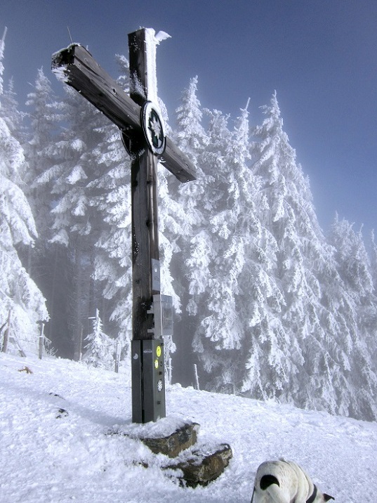 Foto: Andreas Koller / Schneeschuhtour / Almenland Schneeschuhtour auf der Teichalm (1473m) / Heulantsch / 23.01.2021 22:37:17