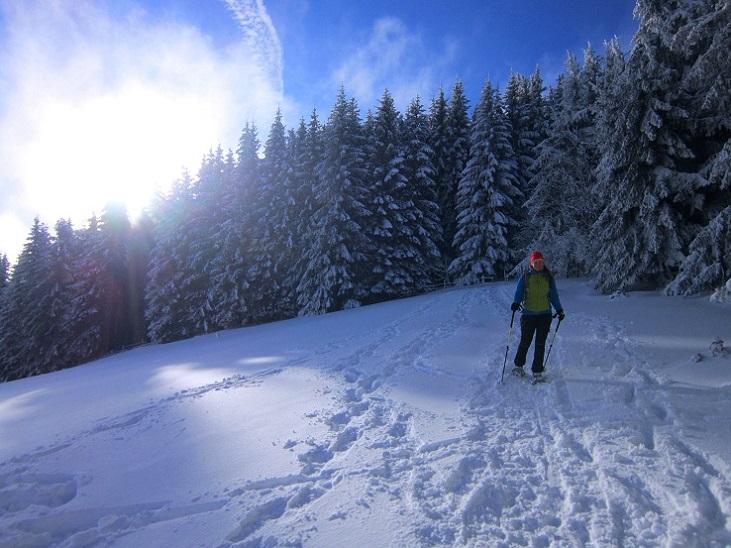 Foto: Andreas Koller / Schneeschuhtour / Almenland Schneeschuhtour auf der Teichalm (1473m) / 23.01.2021 22:35:12