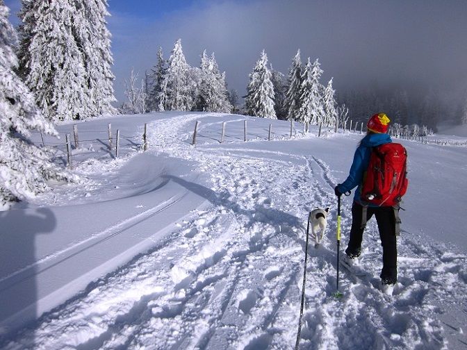 Foto: Andreas Koller / Schneeschuhtour / Almenland Schneeschuhtour auf der Teichalm (1473m) / 23.01.2021 22:34:42