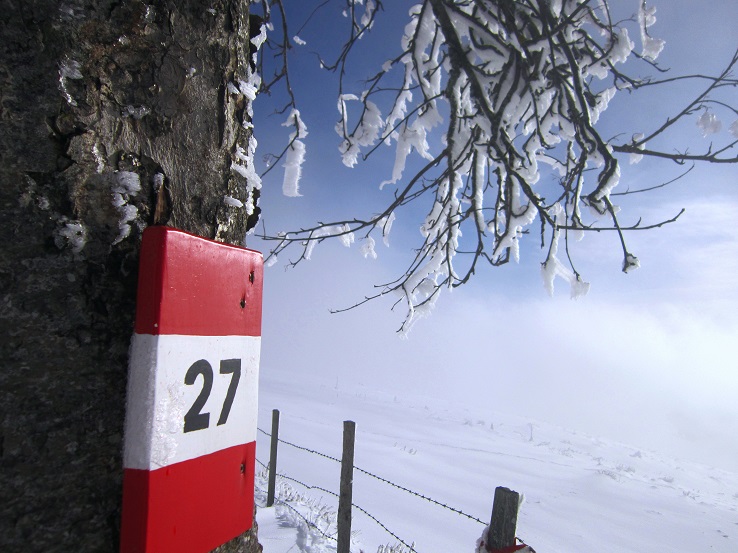 Foto: Andreas Koller / Schneeschuhtour / Almenland Schneeschuhtour auf der Teichalm (1473m) / 23.01.2021 22:33:45