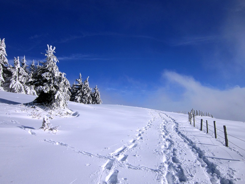 Foto: Andreas Koller / Schneeschuhtour / Almenland Schneeschuhtour auf der Teichalm (1473m) / 23.01.2021 22:33:39