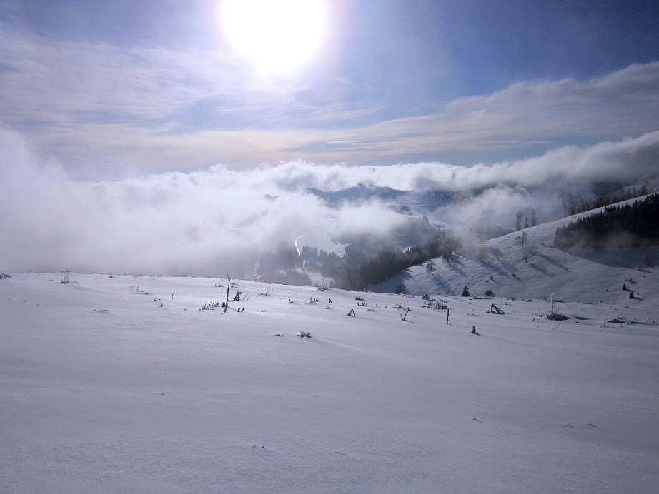 Foto: Andreas Koller / Schneeschuhtour / Almenland Schneeschuhtour auf der Teichalm (1473m) / 23.01.2021 22:33:25