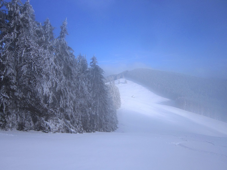 Foto: Andreas Koller / Schneeschuhtour / Almenland Schneeschuhtour auf der Teichalm (1473m) / 23.01.2021 22:31:51