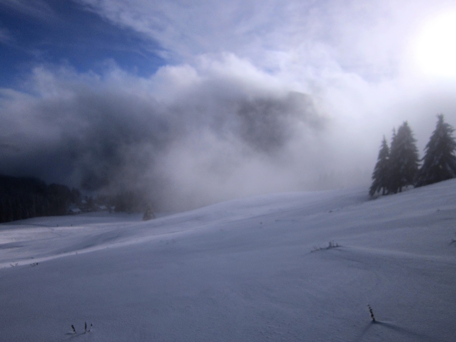 Foto: Andreas Koller / Schneeschuhtour / Almenland Schneeschuhtour auf der Teichalm (1473m) / 23.01.2021 22:31:45