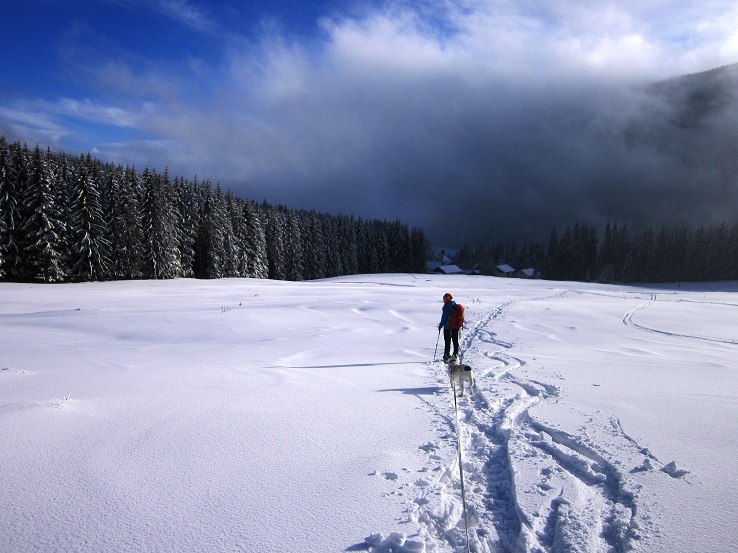 Foto: Andreas Koller / Schneeschuhtour / Almenland Schneeschuhtour auf der Teichalm (1473m) / 23.01.2021 22:30:55