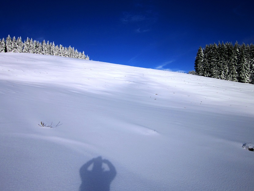 Foto: Andreas Koller / Schneeschuhtour / Almenland Schneeschuhtour auf der Teichalm (1473m) / Da oben liegt die Stoahandhütte / 23.01.2021 22:30:48
