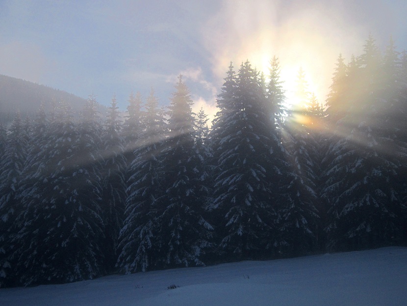 Foto: Andreas Koller / Schneeschuhtour / Almenland Schneeschuhtour auf der Teichalm (1473m) / 23.01.2021 22:28:59