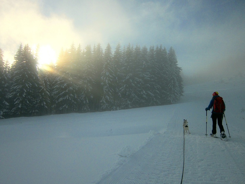 Foto: Andreas Koller / Schneeschuhtour / Almenland Schneeschuhtour auf der Teichalm (1473m) / 23.01.2021 22:28:52