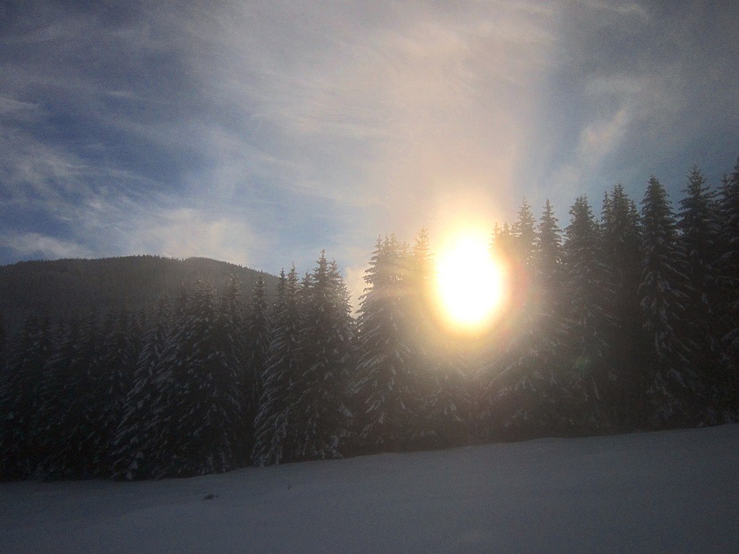 Foto: Andreas Koller / Schneeschuhtour / Almenland Schneeschuhtour auf der Teichalm (1473m) / 23.01.2021 22:28:43