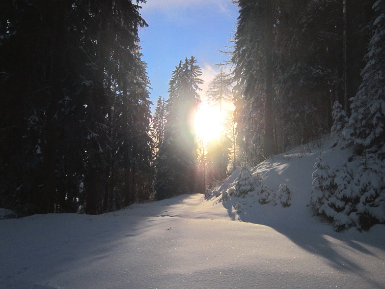 Foto: Andreas Koller / Schneeschuhtour / Almenland Schneeschuhtour auf der Teichalm (1473m) / 23.01.2021 22:28:18