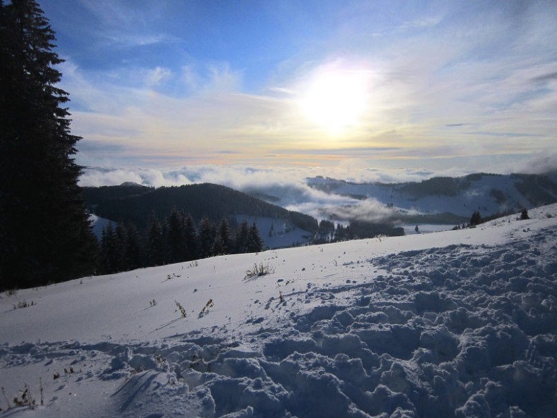 Foto: Andreas Koller / Schneeschuhtour / Almenland Schneeschuhtour auf der Teichalm (1473m) / 23.01.2021 22:27:52