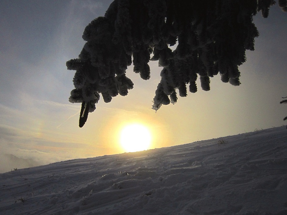 Foto: Andreas Koller / Schneeschuhtour / Almenland Schneeschuhtour auf der Teichalm (1473m) / 23.01.2021 22:26:42