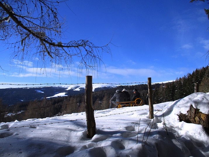 Foto: Andreas Koller / Skitour / Tour Saualpe auf die Ladinger Spitze (2079m) / 30.01.2021 01:55:21