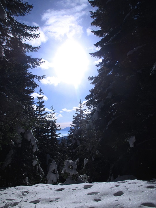 Foto: Andreas Koller / Skitour / Tour Saualpe auf die Ladinger Spitze (2079m) / 30.01.2021 01:55:05