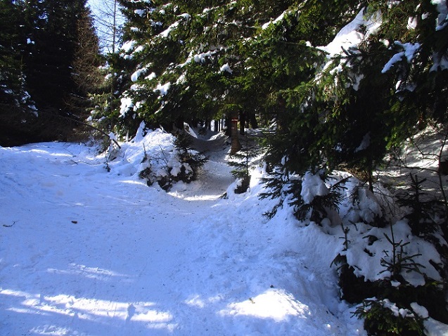 Foto: Andreas Koller / Skitour / Tour Saualpe auf die Ladinger Spitze (2079m) / 30.01.2021 01:55:00