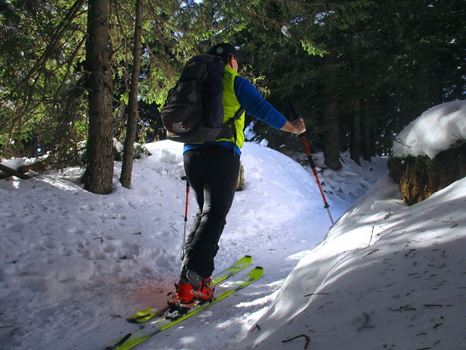 Foto: Andreas Koller / Skitour / Tour Saualpe auf die Ladinger Spitze (2079m) / 30.01.2021 01:54:54