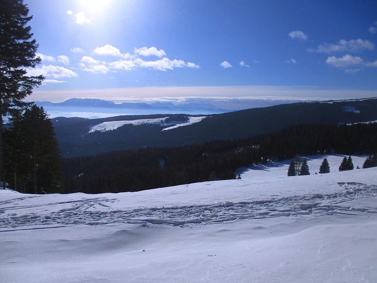 Foto: Andreas Koller / Skitour / Tour Saualpe auf die Ladinger Spitze (2079m) / 30.01.2021 01:54:48