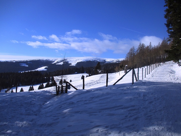 Foto: Andreas Koller / Skitour / Tour Saualpe auf die Ladinger Spitze (2079m) / 30.01.2021 01:54:42