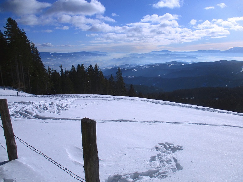 Foto: Andreas Koller / Skitour / Tour Saualpe auf die Ladinger Spitze (2079m) / 30.01.2021 01:54:36