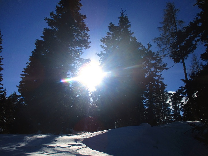 Foto: Andreas Koller / Skitour / Tour Saualpe auf die Ladinger Spitze (2079m) / 30.01.2021 01:54:07