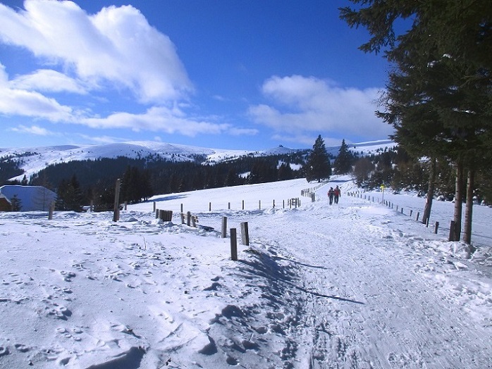 Foto: Andreas Koller / Skitour / Tour Saualpe auf die Ladinger Spitze (2079m) / 30.01.2021 01:53:54