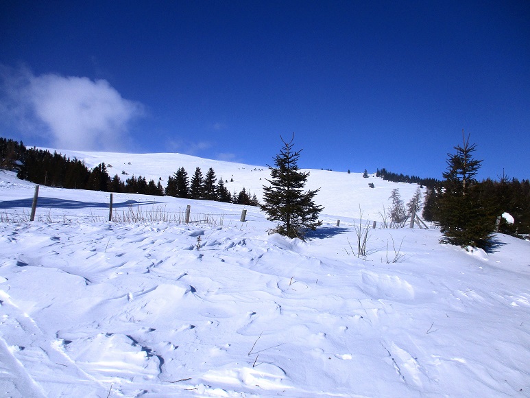 Foto: Andreas Koller / Skitour / Tour Saualpe auf die Ladinger Spitze (2079m) / 30.01.2021 01:53:42