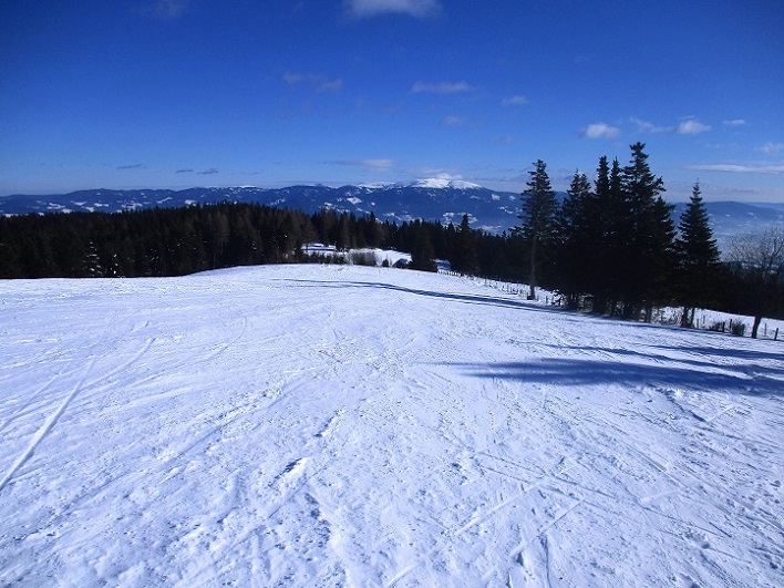 Foto: Andreas Koller / Skitour / Tour Saualpe auf die Ladinger Spitze (2079m) / 30.01.2021 01:53:29