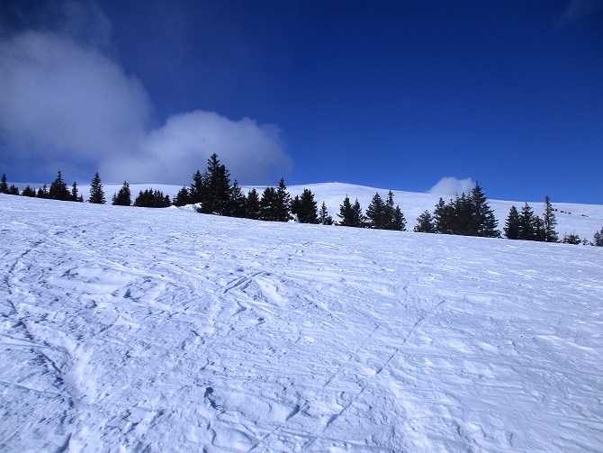 Foto: Andreas Koller / Skitour / Tour Saualpe auf die Ladinger Spitze (2079m) / 30.01.2021 01:52:48