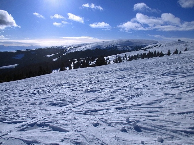 Foto: Andreas Koller / Skitour / Tour Saualpe auf die Ladinger Spitze (2079m) / 30.01.2021 01:52:41