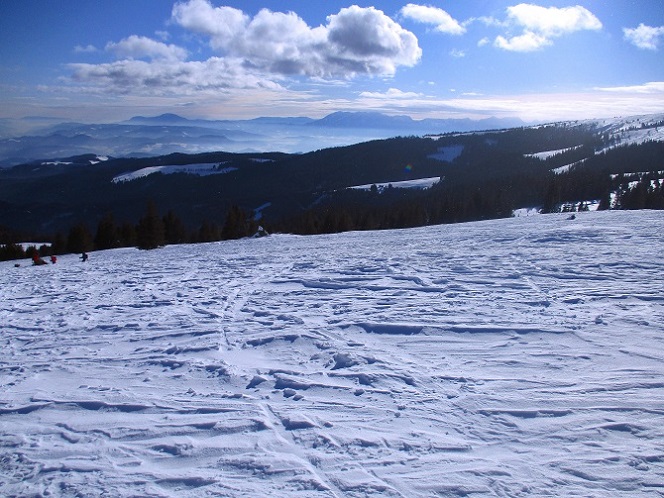 Foto: Andreas Koller / Skitour / Tour Saualpe auf die Ladinger Spitze (2079m) / 30.01.2021 01:52:28