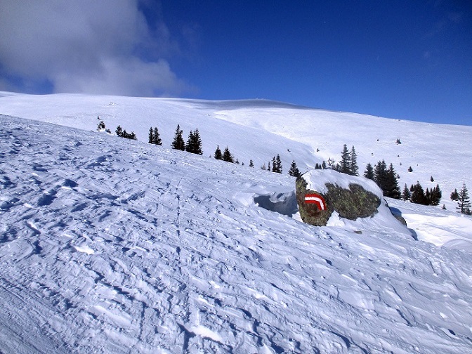 Foto: Andreas Koller / Skitour / Tour Saualpe auf die Ladinger Spitze (2079m) / 30.01.2021 01:52:15
