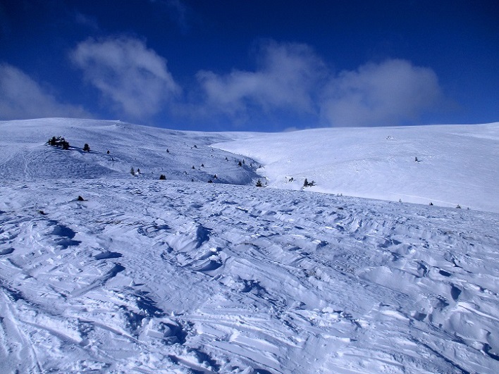 Foto: Andreas Koller / Skitour / Tour Saualpe auf die Ladinger Spitze (2079m) / 30.01.2021 01:52:04
