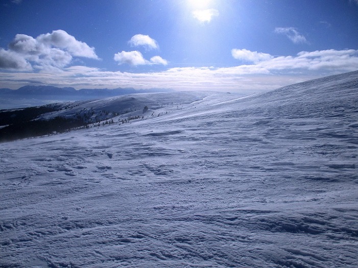 Foto: Andreas Koller / Skitour / Tour Saualpe auf die Ladinger Spitze (2079m) / 30.01.2021 01:51:51