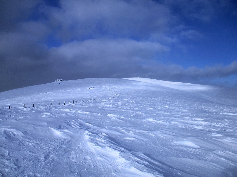 Foto: Andreas Koller / Skitour / Tour Saualpe auf die Ladinger Spitze (2079m) / 30.01.2021 01:51:31