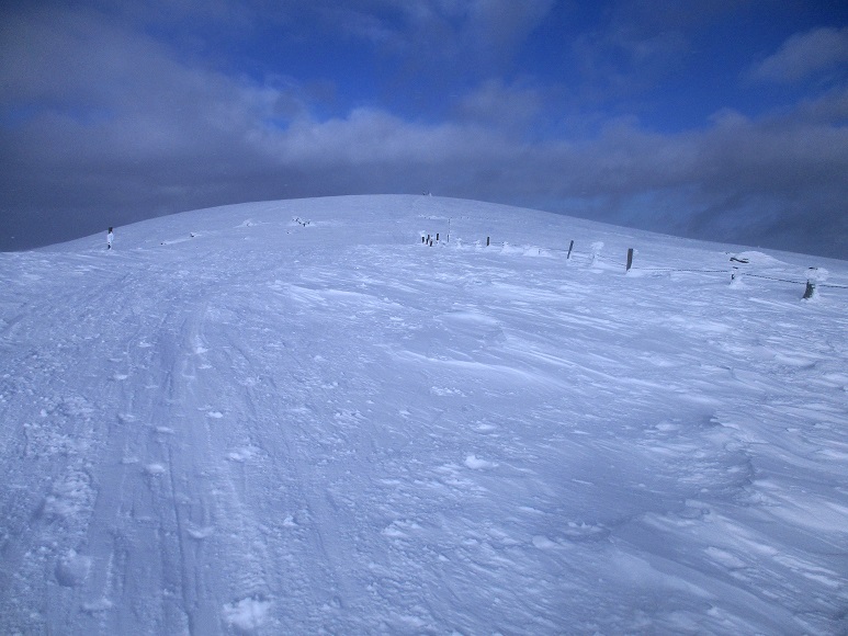 Foto: Andreas Koller / Skitour / Tour Saualpe auf die Ladinger Spitze (2079m) / 30.01.2021 01:51:24