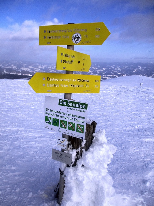 Foto: Andreas Koller / Skitour / Tour Saualpe auf die Ladinger Spitze (2079m) / 30.01.2021 01:50:45