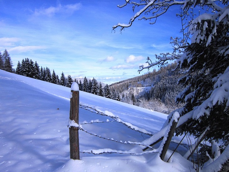Foto: Andreas Koller / Skitour / Aus dem Feistritztal auf den Harterkogel (1523m) / 05.02.2021 19:39:12