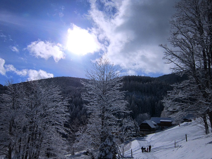 Foto: Andreas Koller / Skitour / Aus dem Feistritztal auf den Harterkogel (1523m) / Rückblick zum Dissauer / 05.02.2021 19:39:07