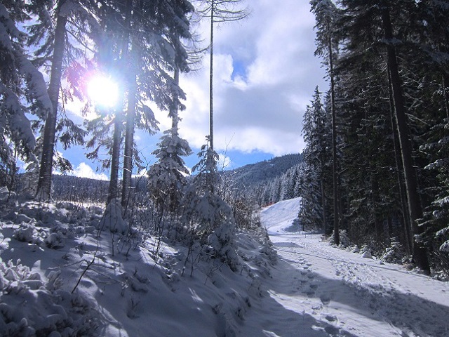 Foto: Andreas Koller / Skitour / Aus dem Feistritztal auf den Harterkogel (1523m) / 05.02.2021 19:39:02