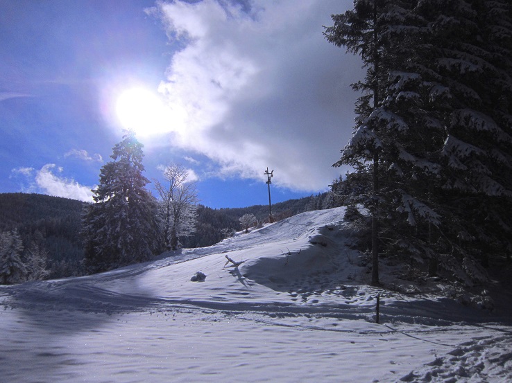 Foto: Andreas Koller / Skitour / Aus dem Feistritztal auf den Harterkogel (1523m) / 05.02.2021 19:38:49