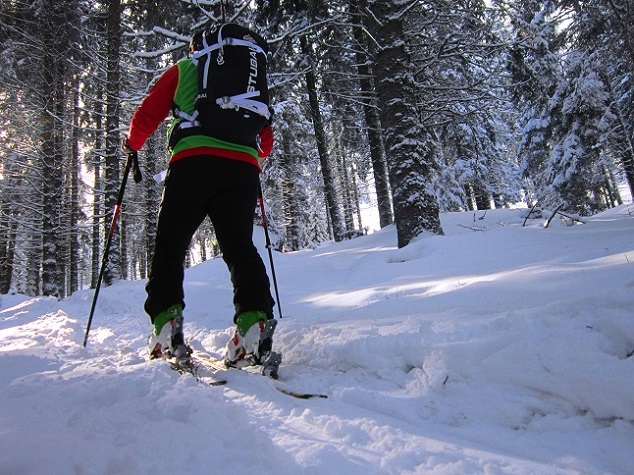 Foto: Andreas Koller / Skitour / Aus dem Feistritztal auf den Harterkogel (1523m) / 05.02.2021 19:38:19
