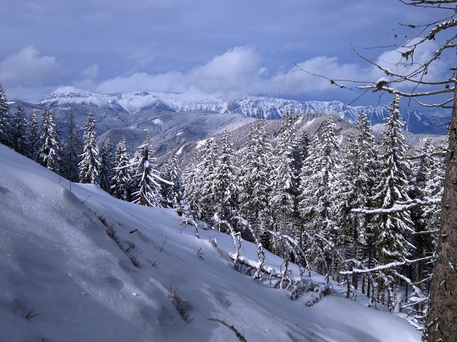 Foto: Andreas Koller / Skitour / Aus dem Feistritztal auf den Harterkogel (1523m) / Blick zur Rax (2007m) / 05.02.2021 19:38:00