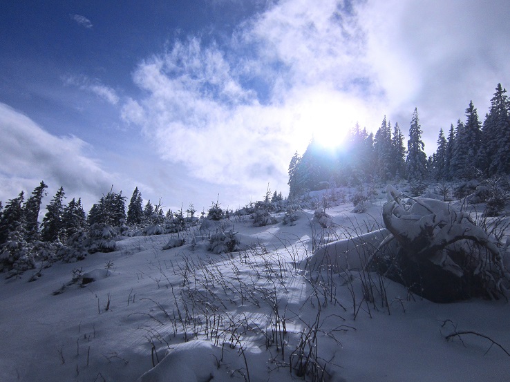 Foto: Andreas Koller / Skitour / Aus dem Feistritztal auf den Harterkogel (1523m) / 05.02.2021 19:37:45