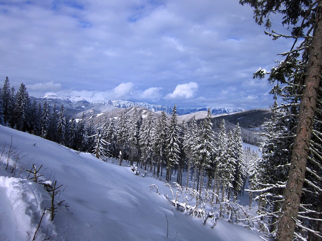 Foto: Andreas Koller / Skitour / Aus dem Feistritztal auf den Harterkogel (1523m) / 05.02.2021 19:37:40