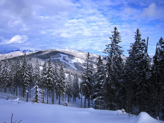 Foto: Andreas Koller / Skitour / Aus dem Feistritztal auf den Harterkogel (1523m) / 05.02.2021 19:37:24